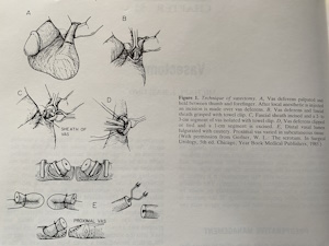 Krzysztof Dąbrowski, Członek Polskiego Towarzystwa Urologicznego